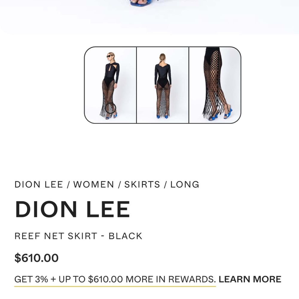Dion Lee Black Reef Net Skirt - Picture 3 of 5